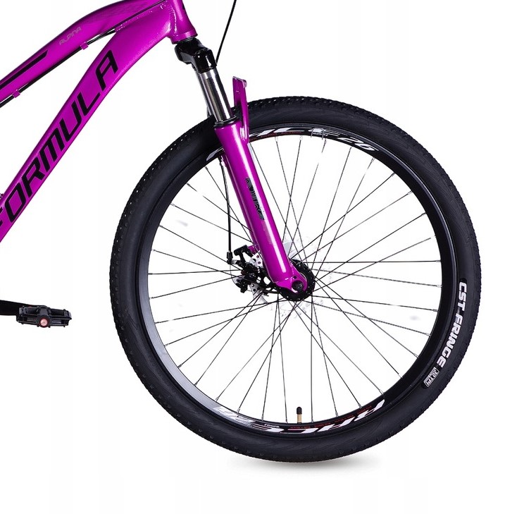 Rower Alpina 26 rama 15 F1.jpg