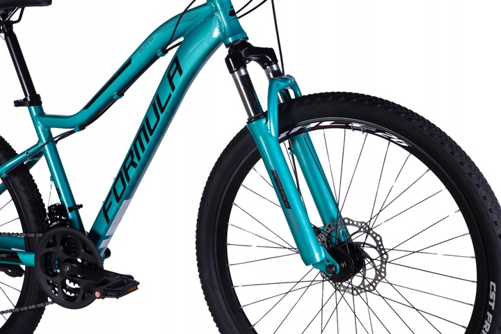 Rower Alpina 26 rama 15.jpg